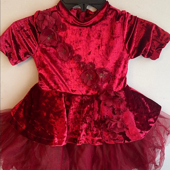 Disney belle Princess burgundy Velvet Dress - Picture 4 of 16